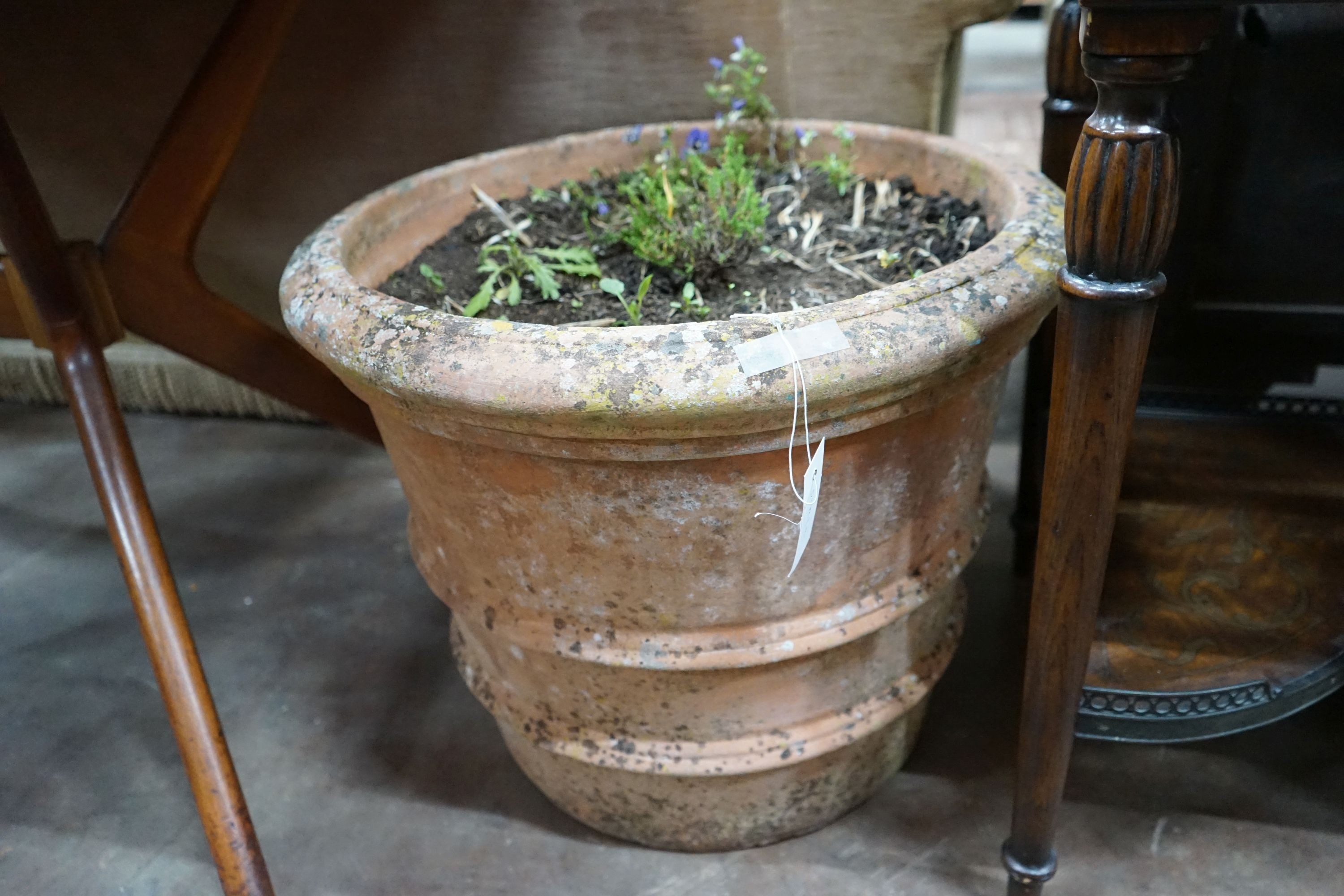 A circular terracotta garden planter, diameter 56cm, height 44cm